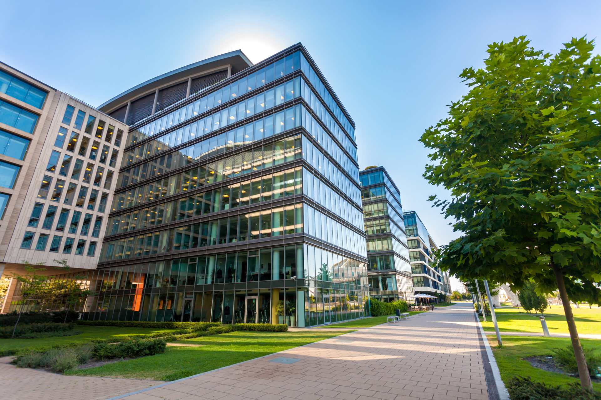 Glass Office Buildings