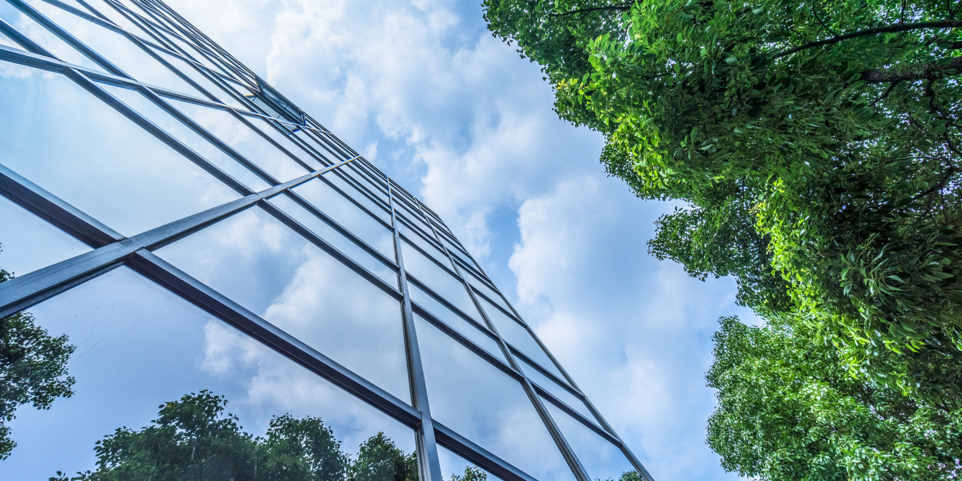 Glass Building near trees
