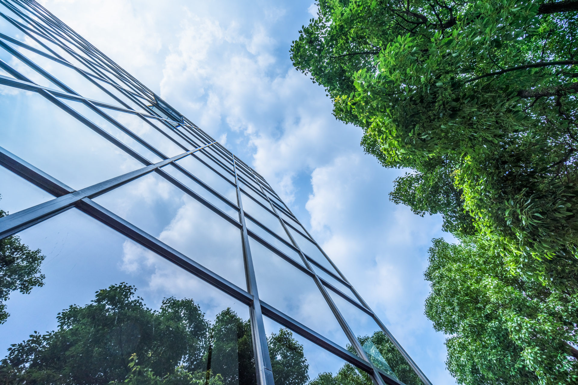 Glass Building near trees